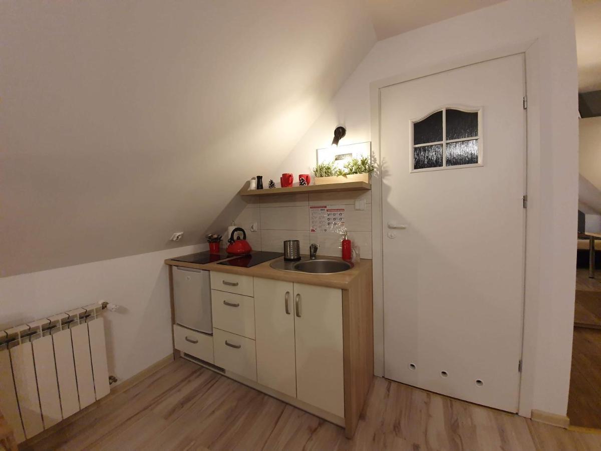 Apartament Jaskier Zakopane Exterior foto
